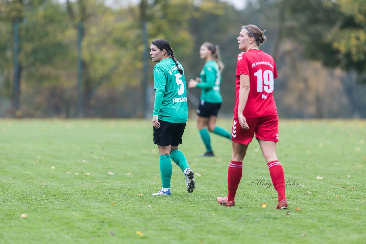 Bild 183 - F SV Farnewinkel-Nindorf - IF Stjernen Flensborg : Ergebnis: 0:1